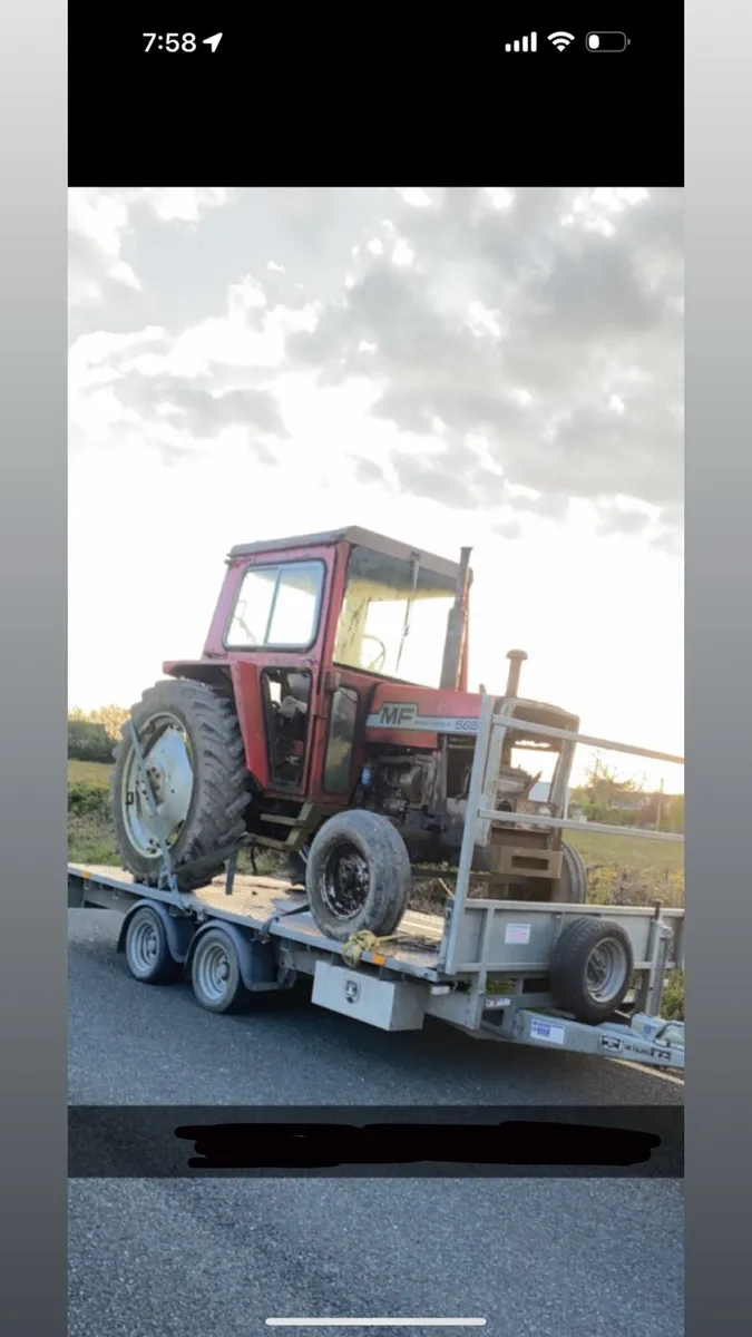 Massey Ferguson 565 - Image 3