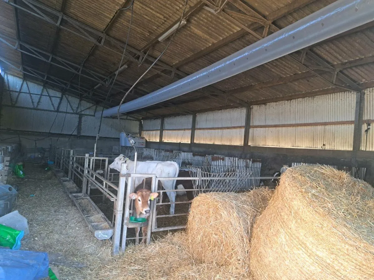 Livestock ventilation systems - Image 4