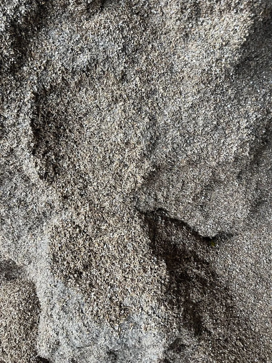 Organic oats - Image 3