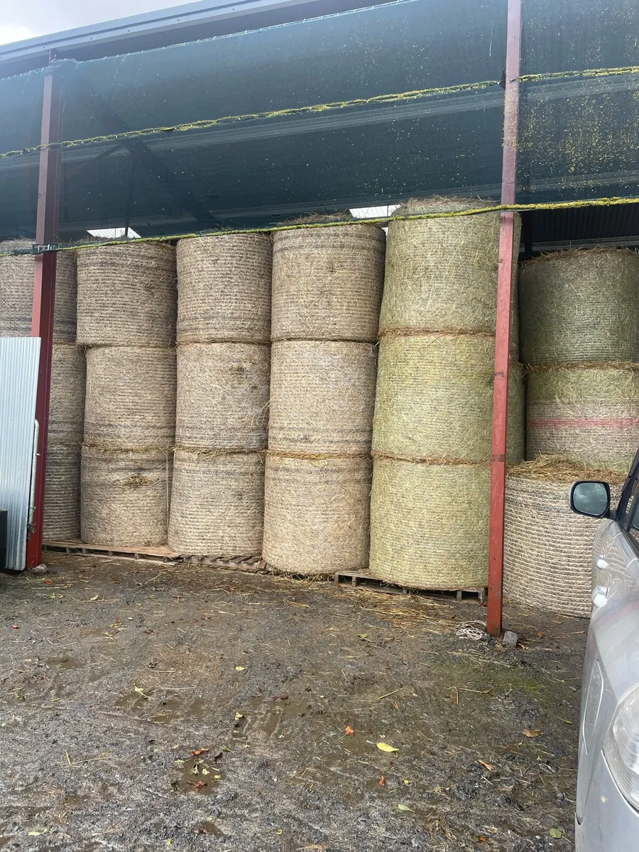 Oaten Straw - Image 1
