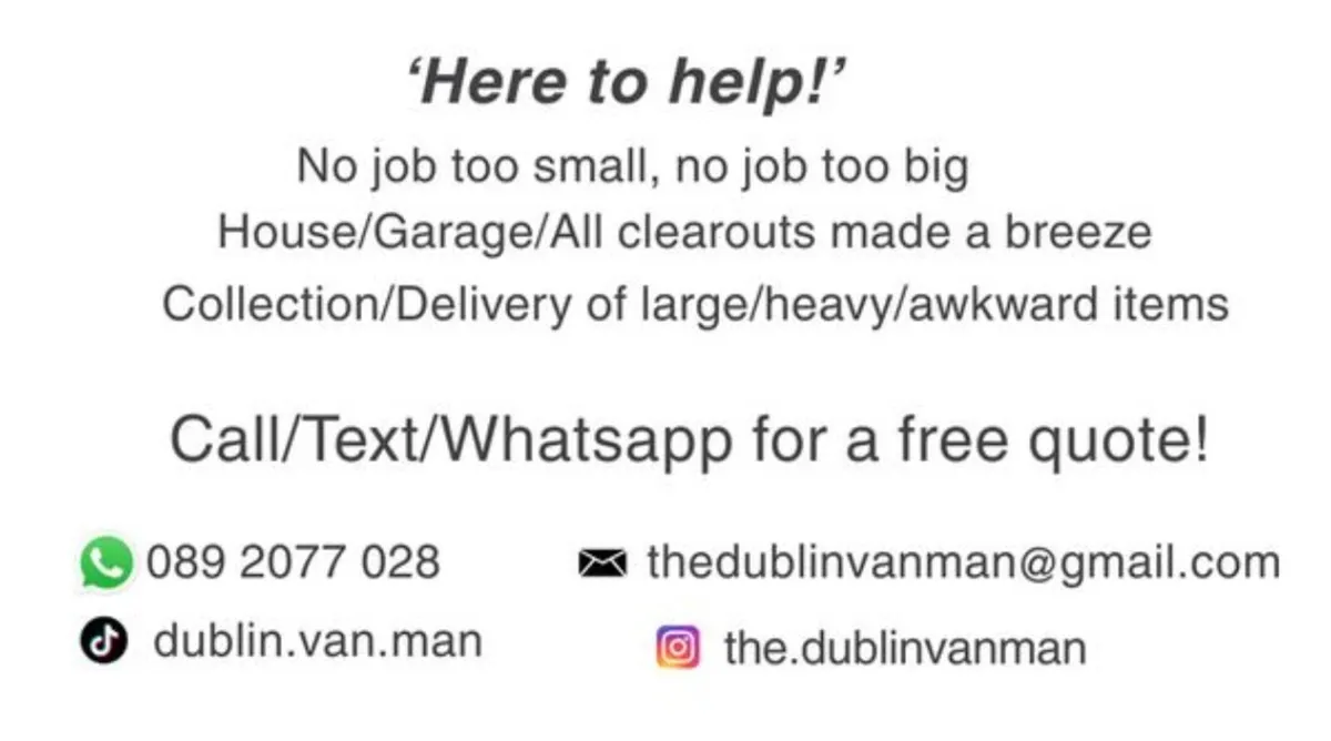 The Dublin Van Man - Image 2