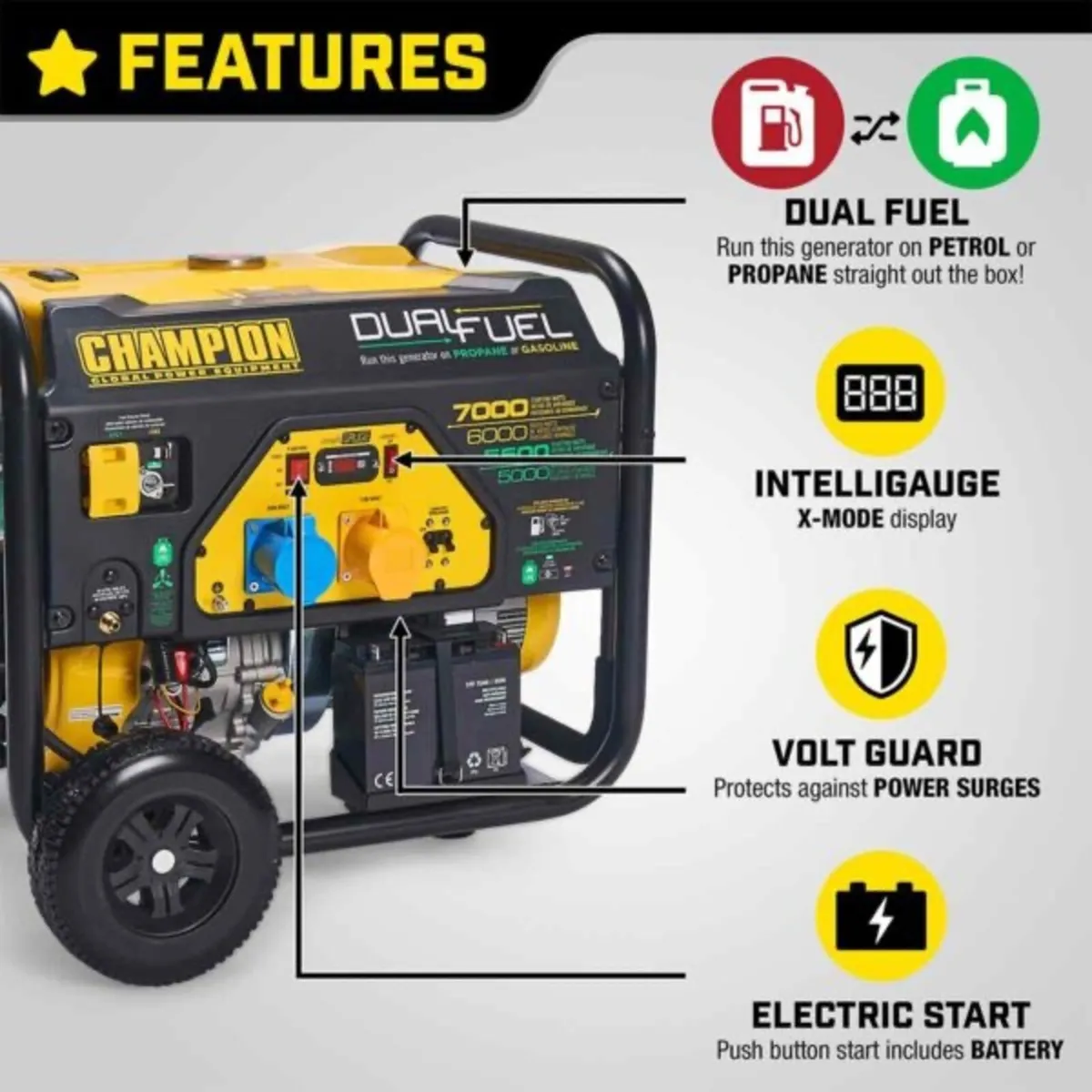 Dual Fuel Generator 7kw - Image 2