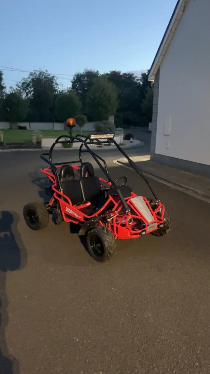 Hammerhead mudhead petrol buggy - Image 1