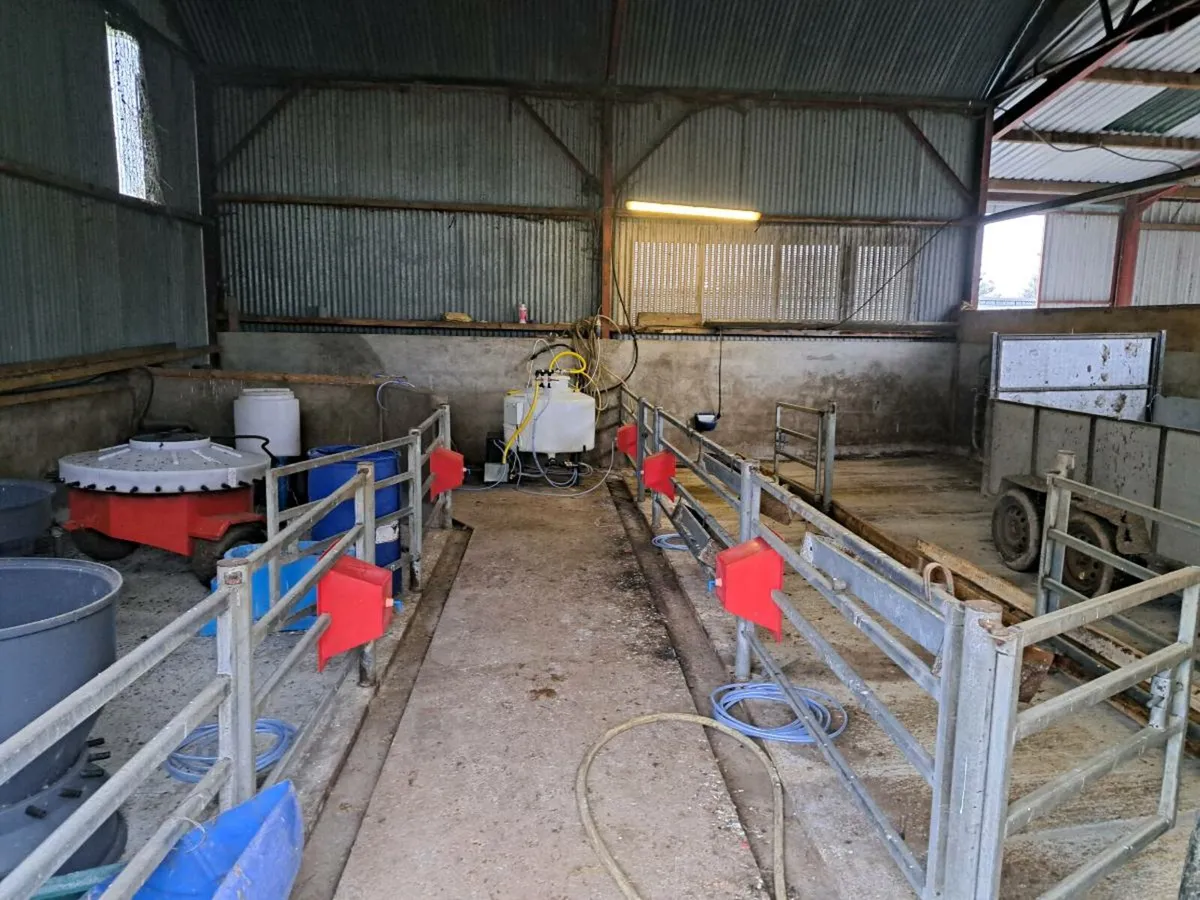 Calf feeders - Image 1
