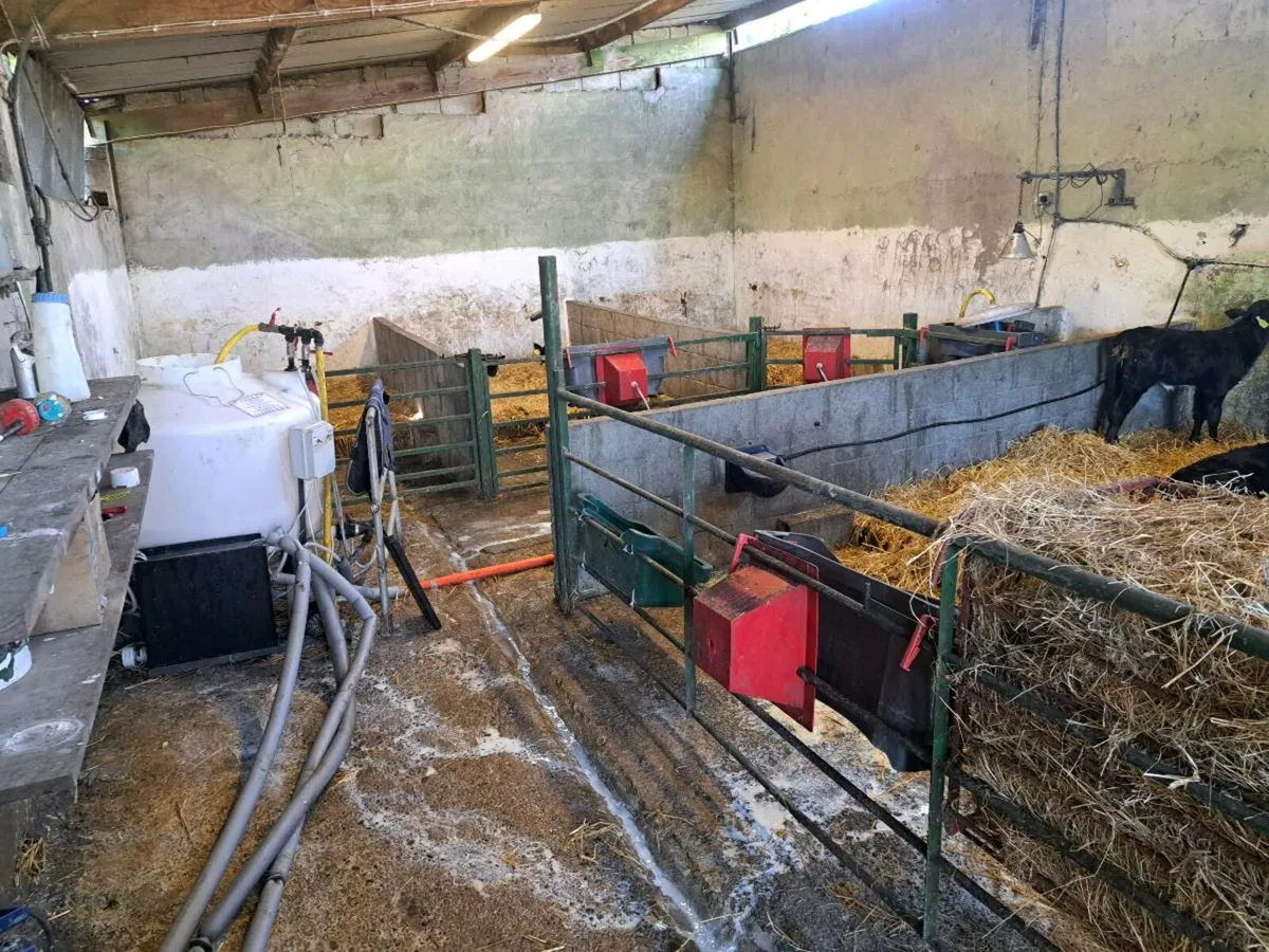 Calf feeders - Image 2
