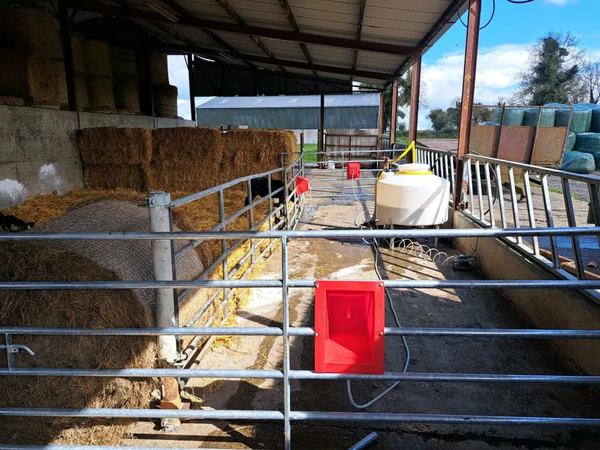 Calf feeders - Image 3