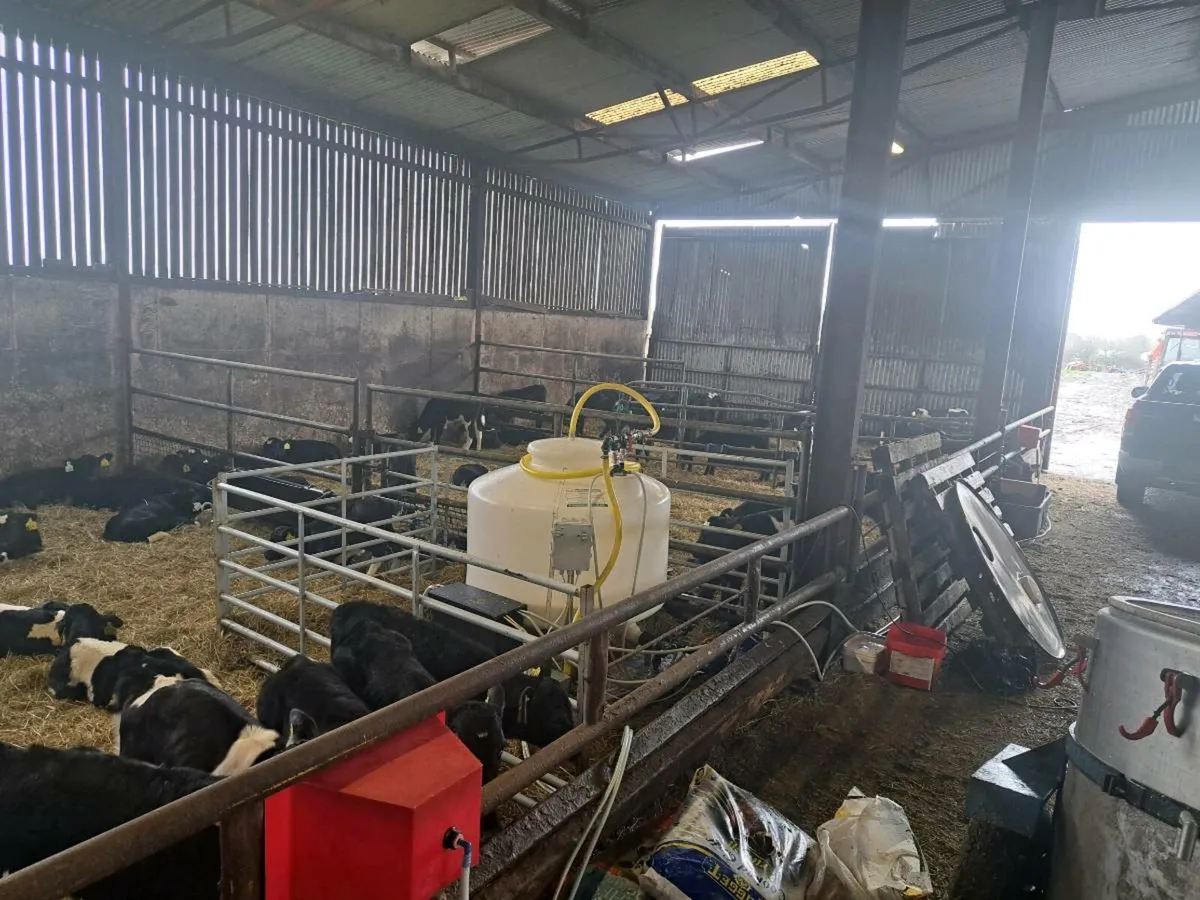Calf feeders - Image 4