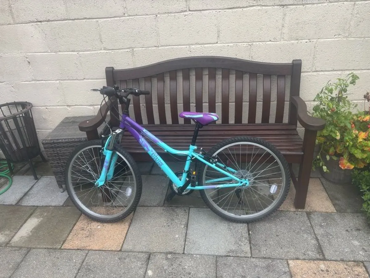 apollo vivid bike - Image 1