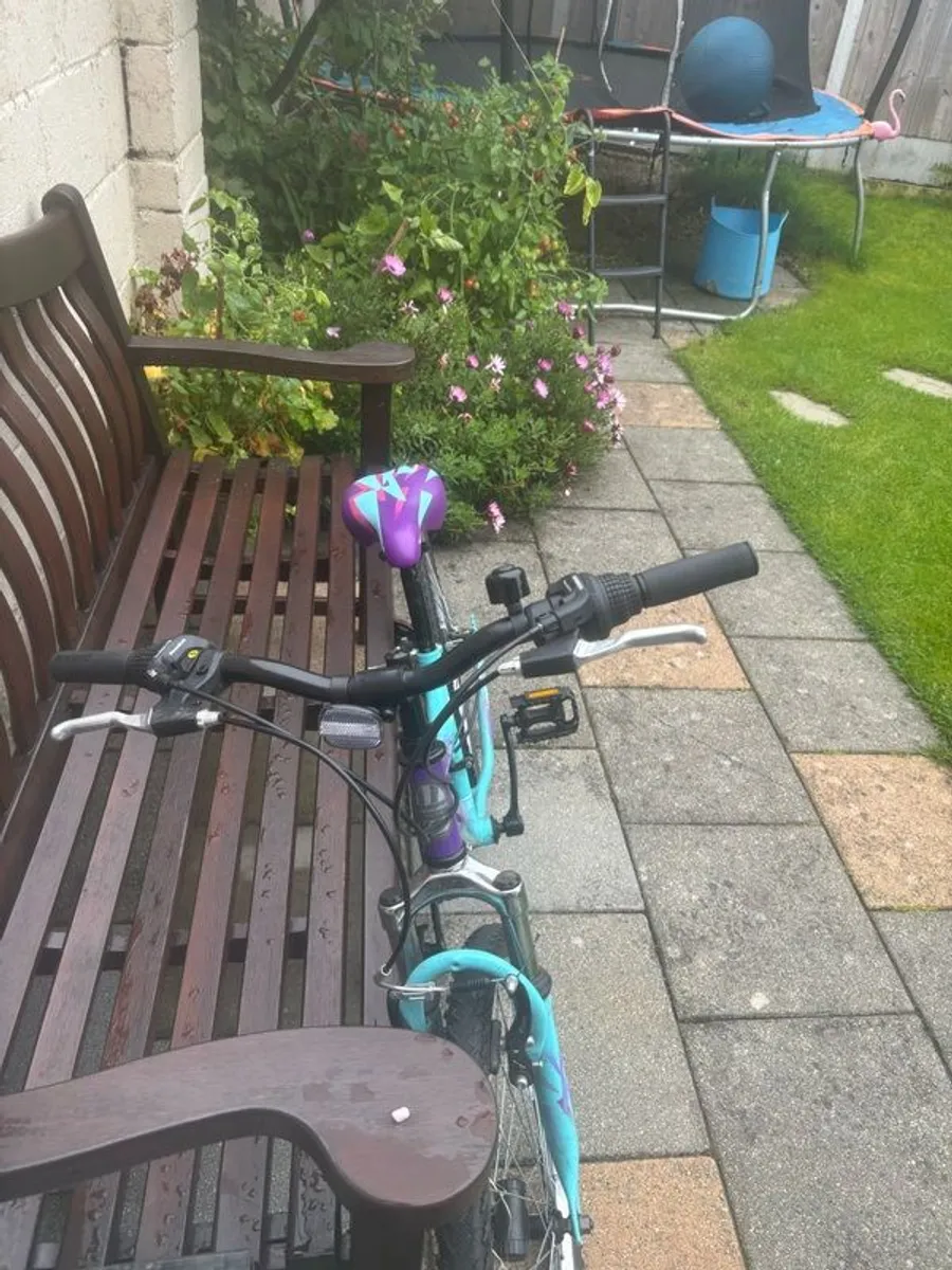 apollo vivid bike - Image 2