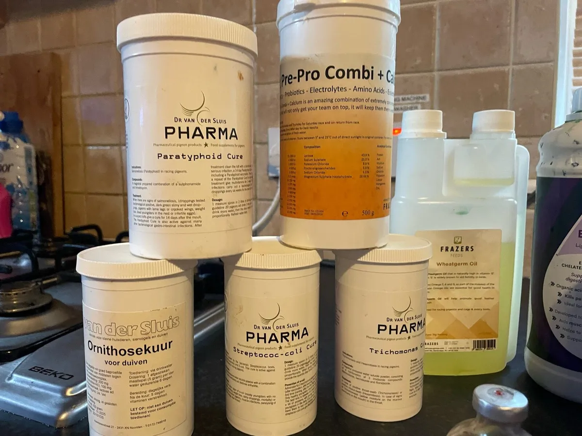 Pigeon products - Image 1