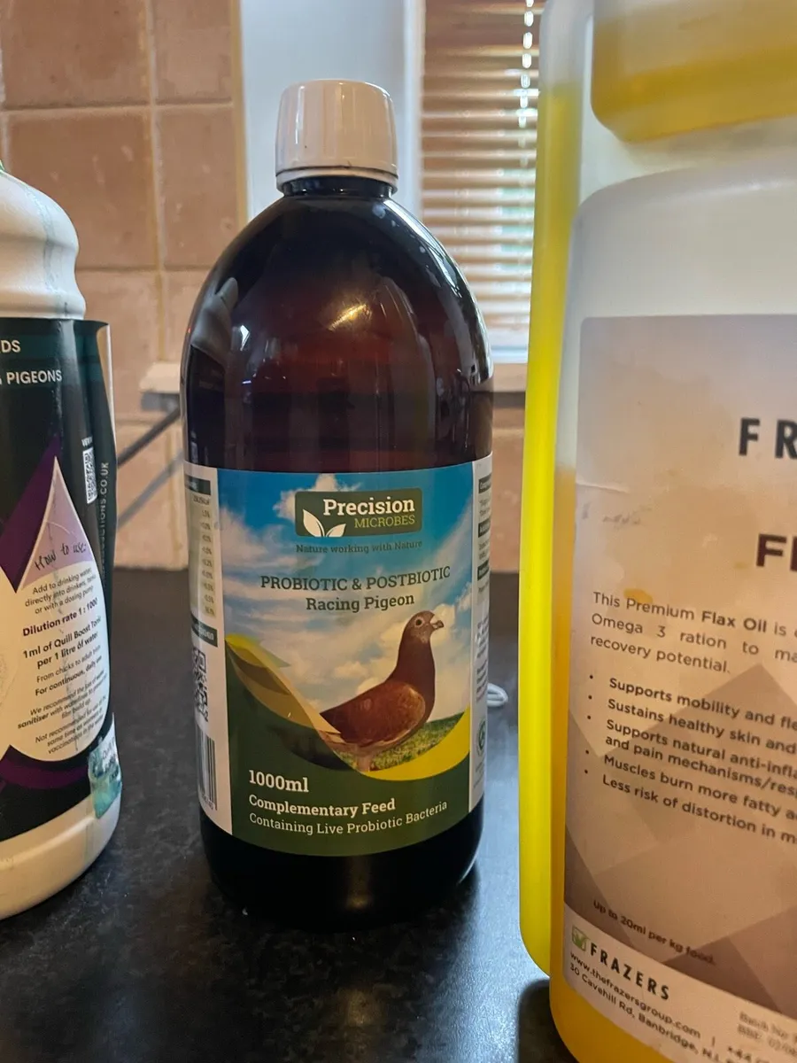 Pigeon products - Image 4