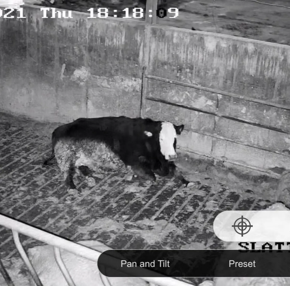 Calving Camera Installation - Image 3