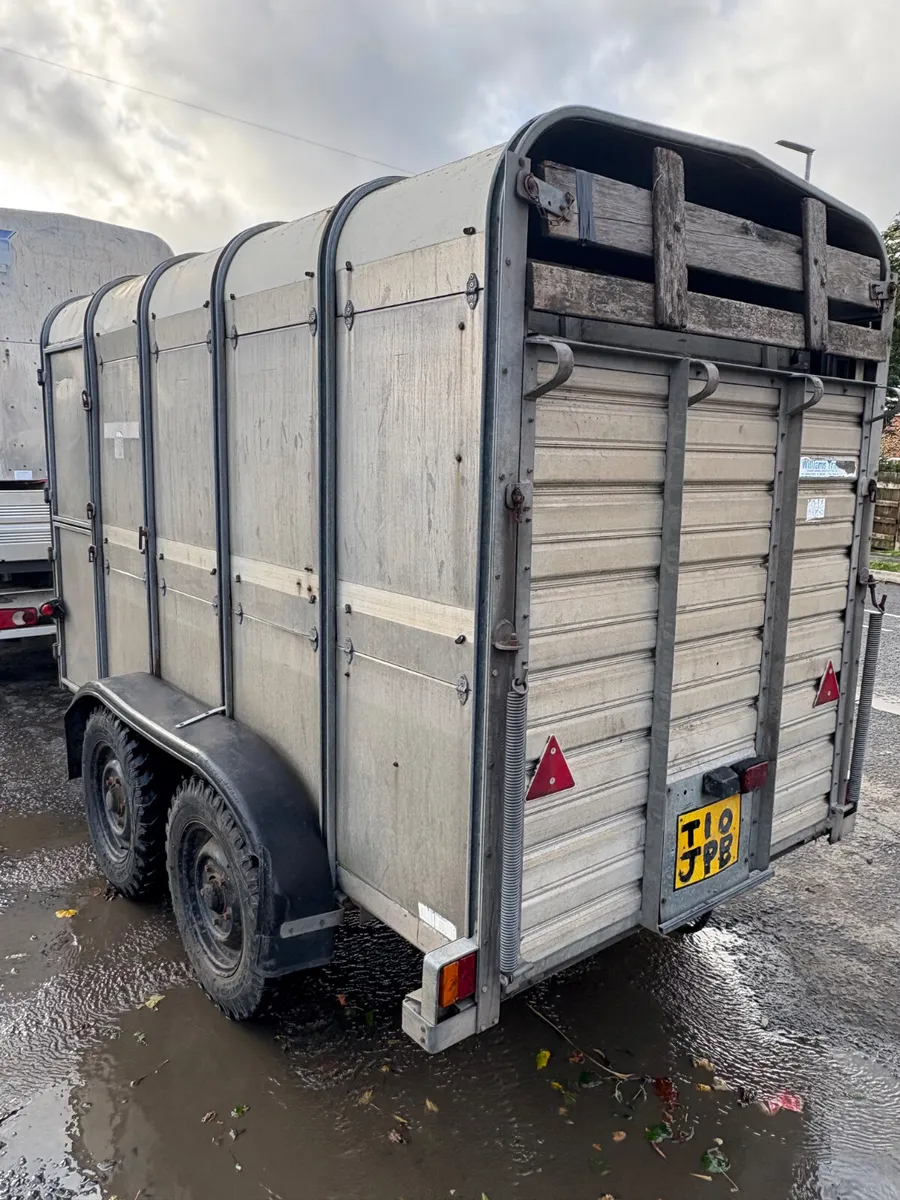Ifor Williams 10ft cattle trailer - Image 2