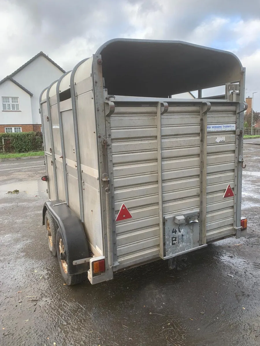 Ifor Williams 8x5 cattle trailer - Image 3