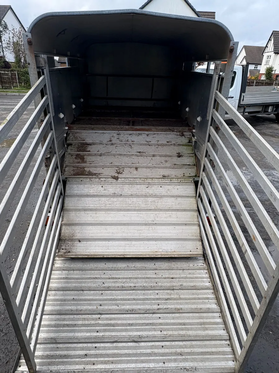 Ifor Williams 8x5 cattle trailer - Image 2