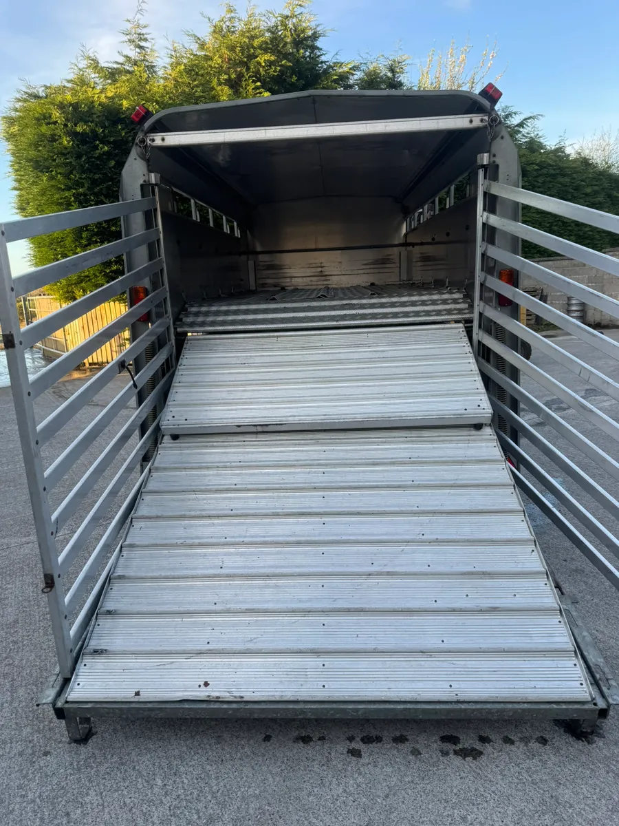 Sheep decks - Image 1