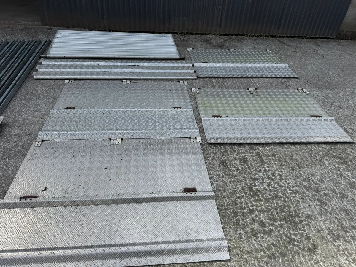 Sheep decks - Image 2