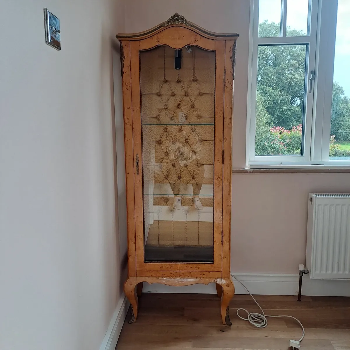 Antique french fisplay cabinet