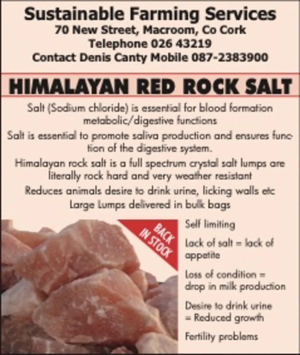 himalayan rock salt - Image 1