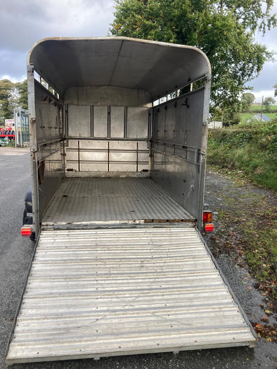 Trade Sale Ifor Williams 10ft Cattle Trailer NOVAT - Image 2
