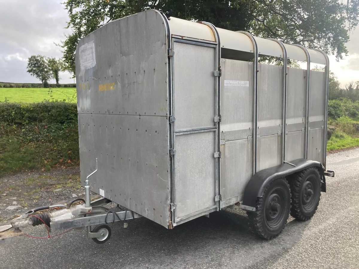 Trade Sale Ifor Williams 10ft Cattle Trailer NOVAT - Image 1