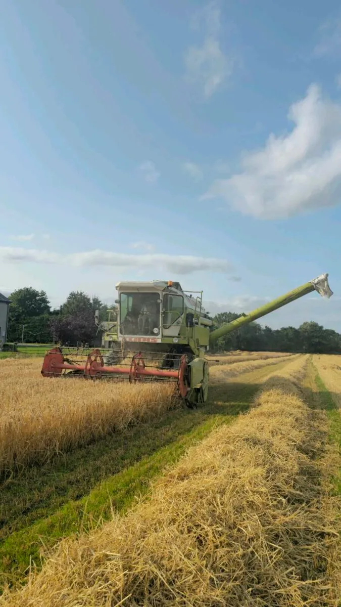 Claas Dominator 96 - Image 2