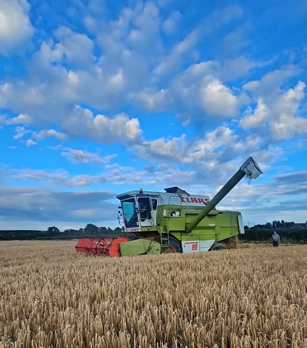 Claas Dominator 96 - Image 3