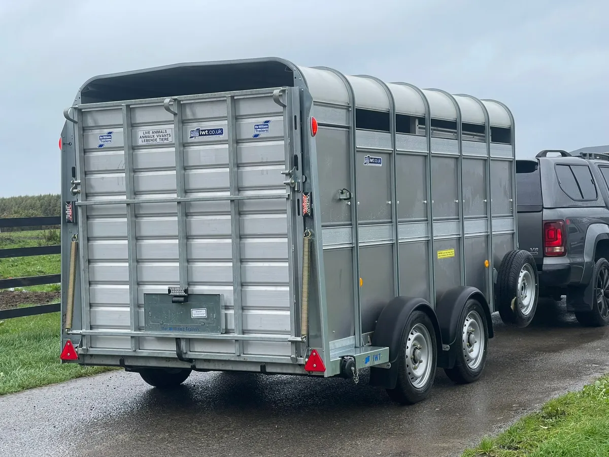 12ft Ivor Williams Cattle Trailer Brand New - Image 1