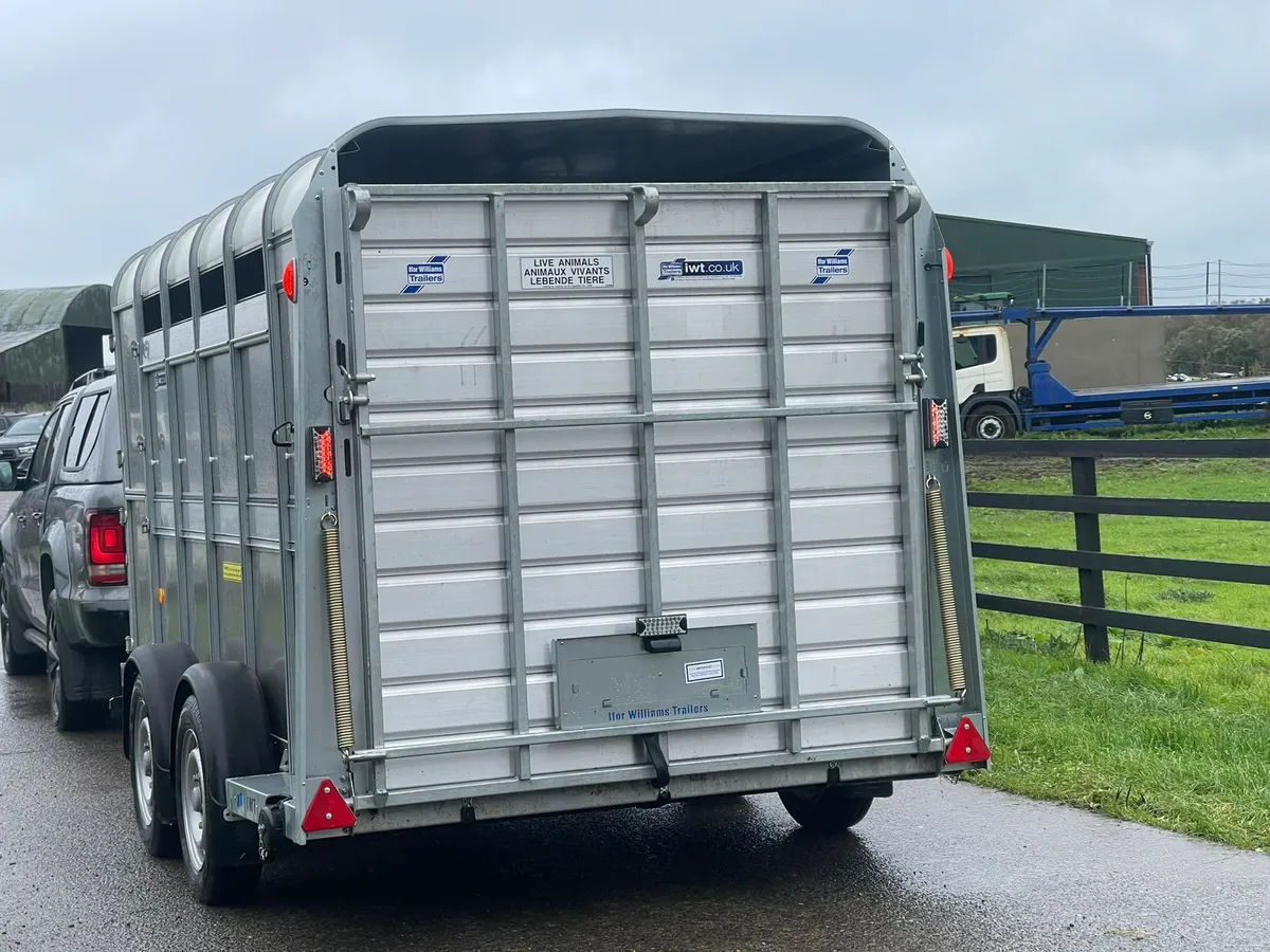 12ft Ivor Williams Cattle Trailer Brand New - Image 2