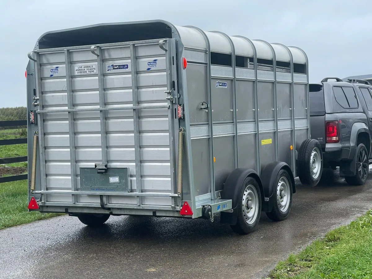 12ft Ivor Williams Cattle Trailer Brand New - Image 3