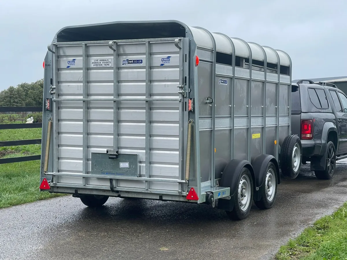 12ft Ivor Williams Cattle Trailer Brand New - Image 4