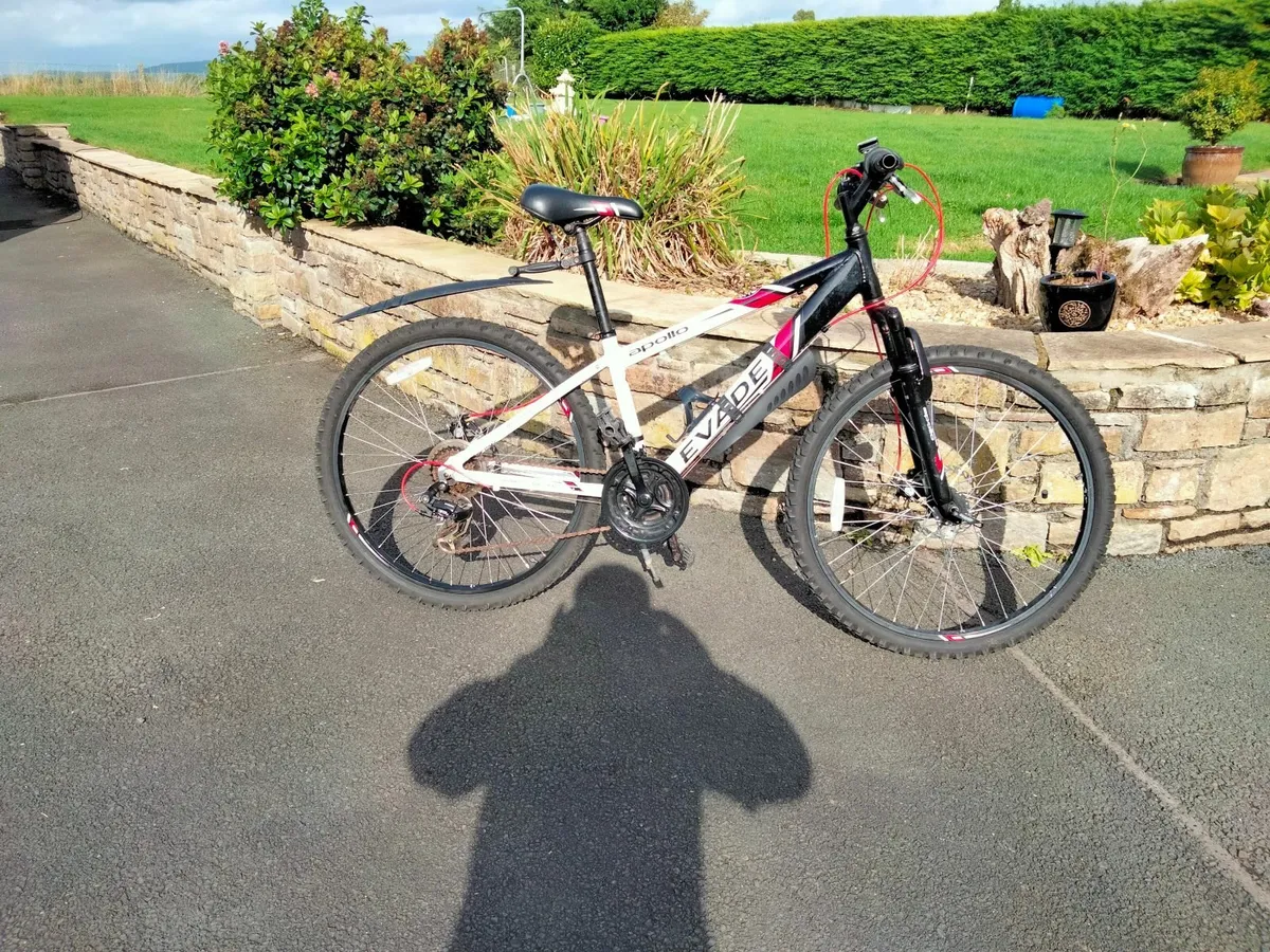 Kids mountain bike - Image 2