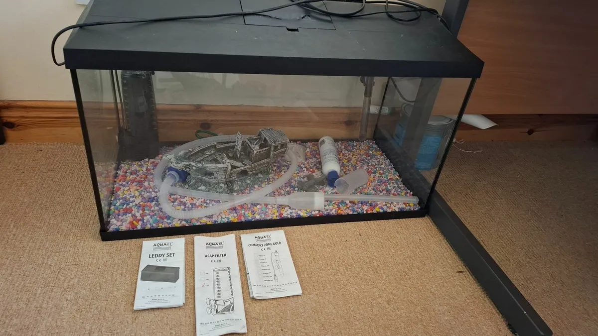 Fish Tank - Image 1