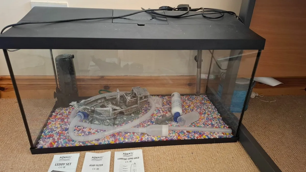 Fish Tank - Image 4