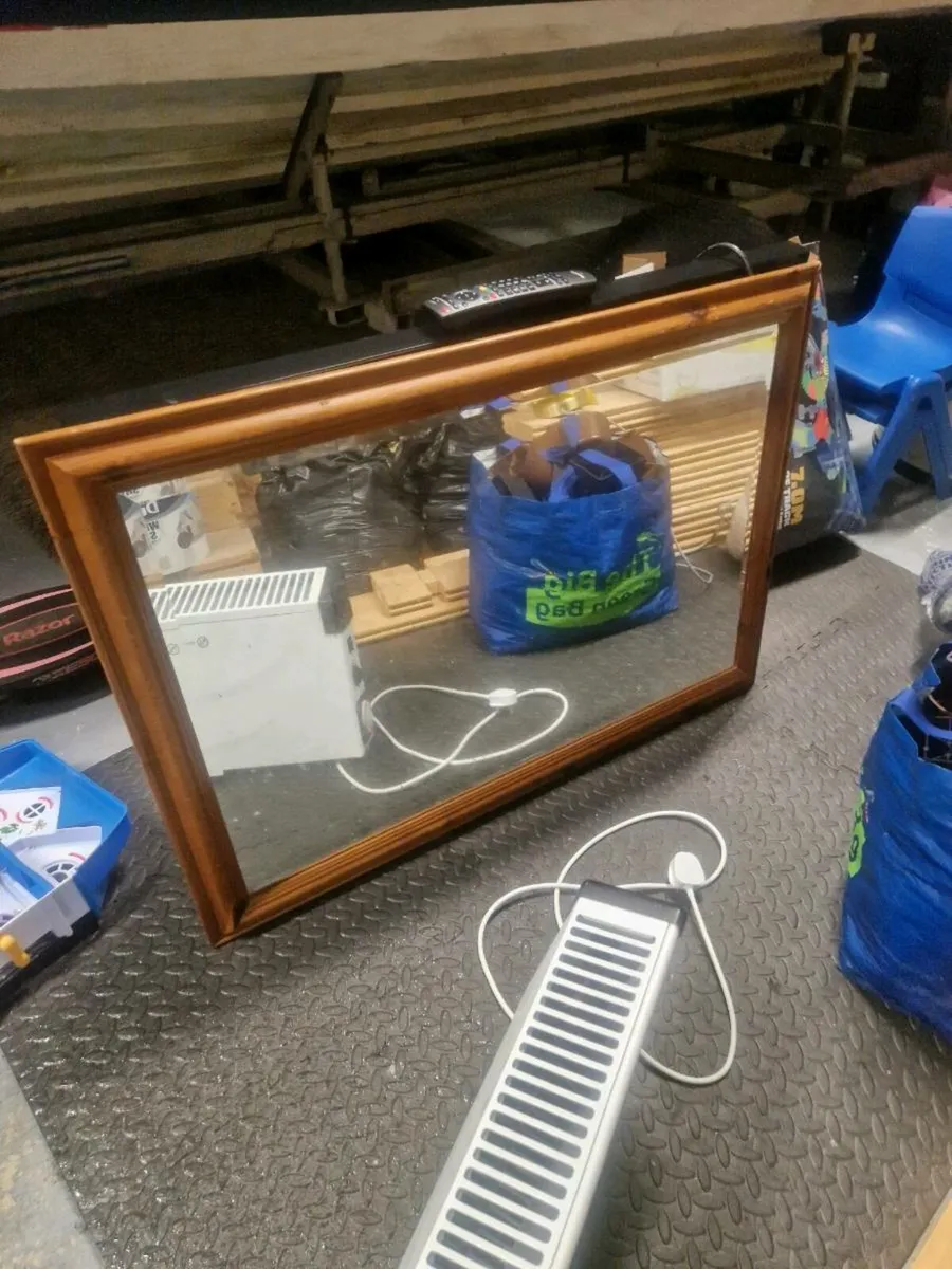 Big mirror pine