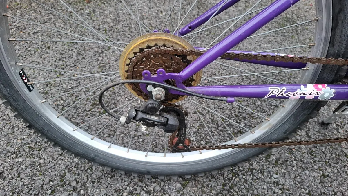 Girls 24" bike - Image 2