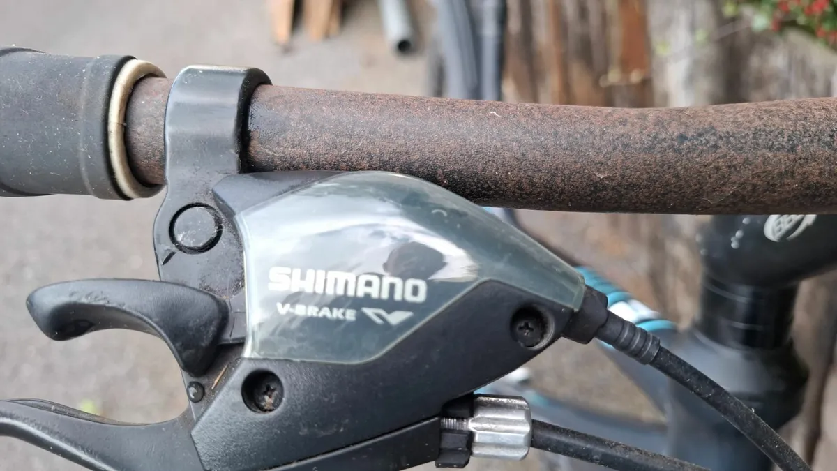 Ladies mountain bike - Image 2