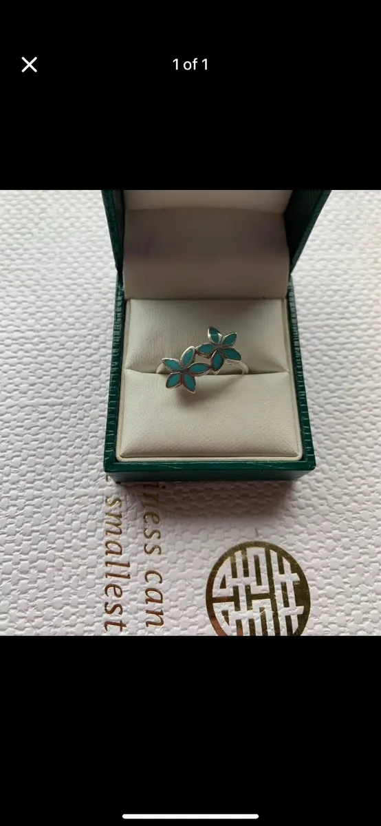 Ring - Image 1