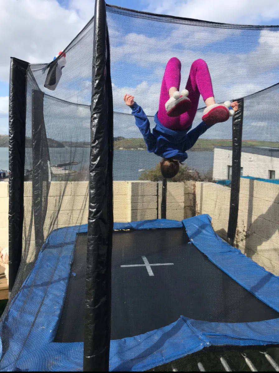 Trampoline - Image 2