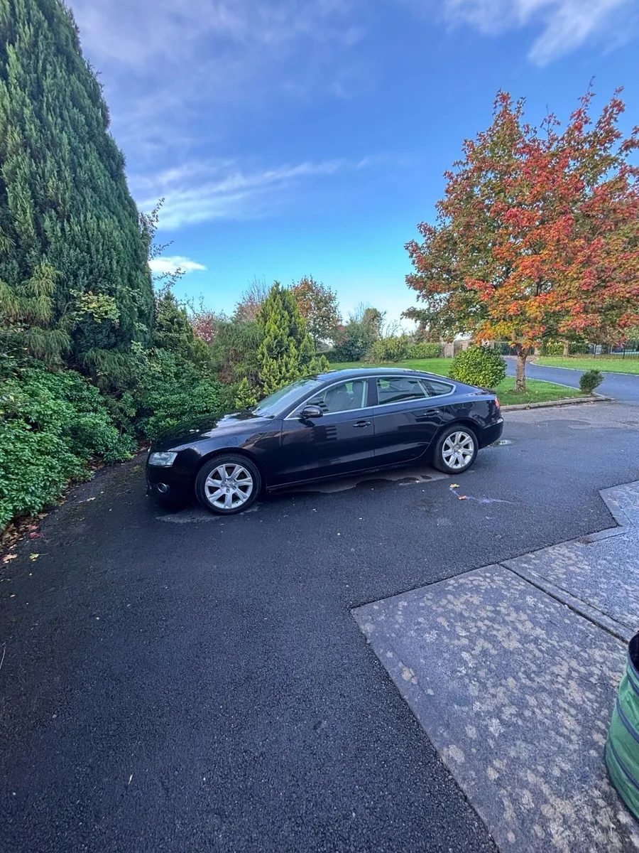Audi A5, 2.0L diesel auto - Image 2