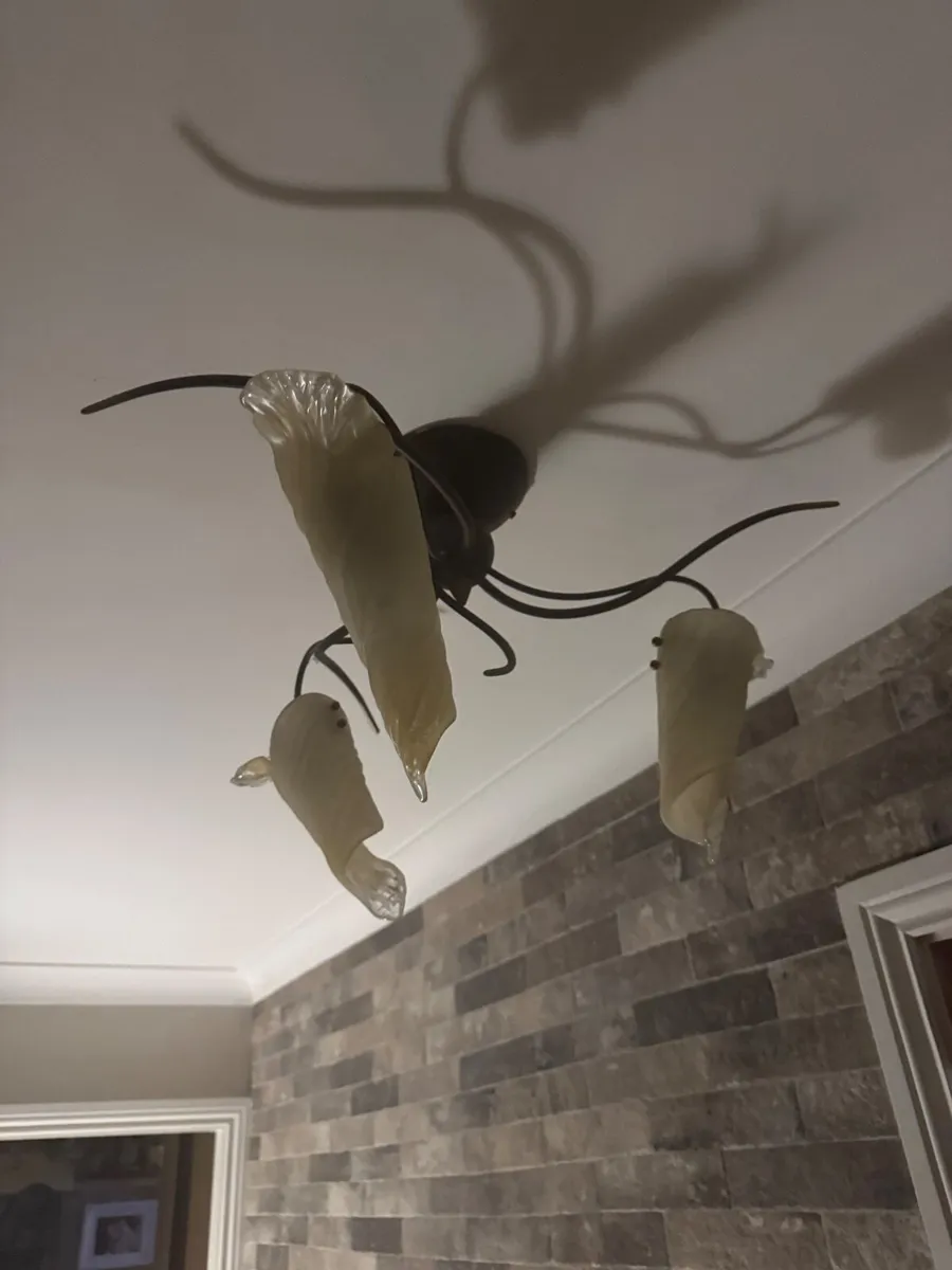 Ceiling lights pair free - Image 2