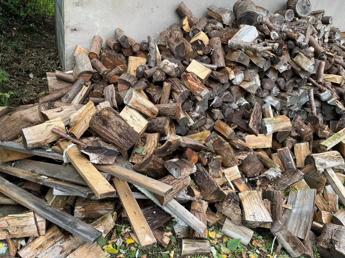 Hardwood firewood - Image 2