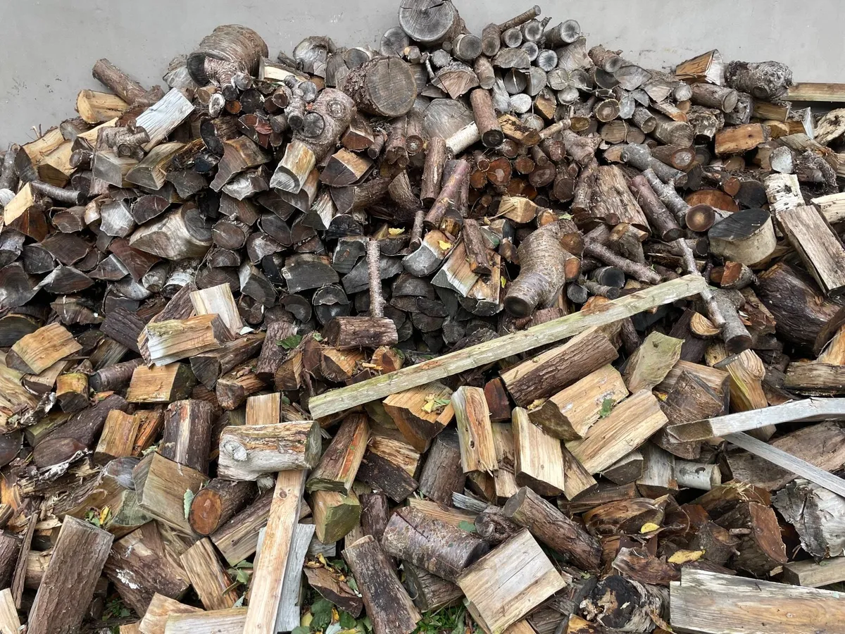 Hardwood firewood - Image 3