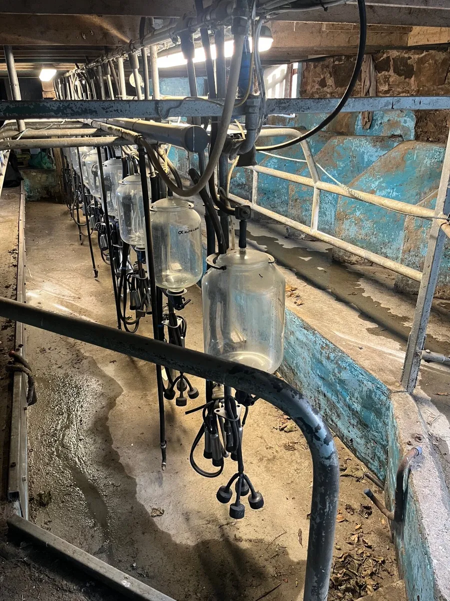 Milking parlour and bulk tank - Image 1