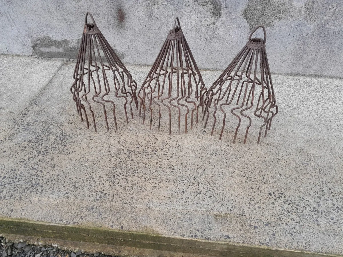 Chimney/ Crow Guards