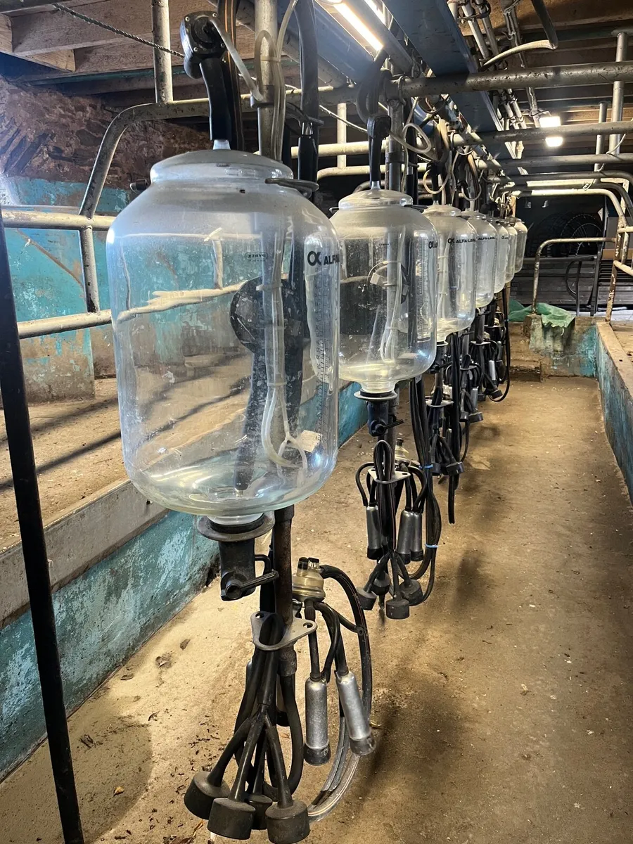 Milking parlour and bulk tank - Image 2