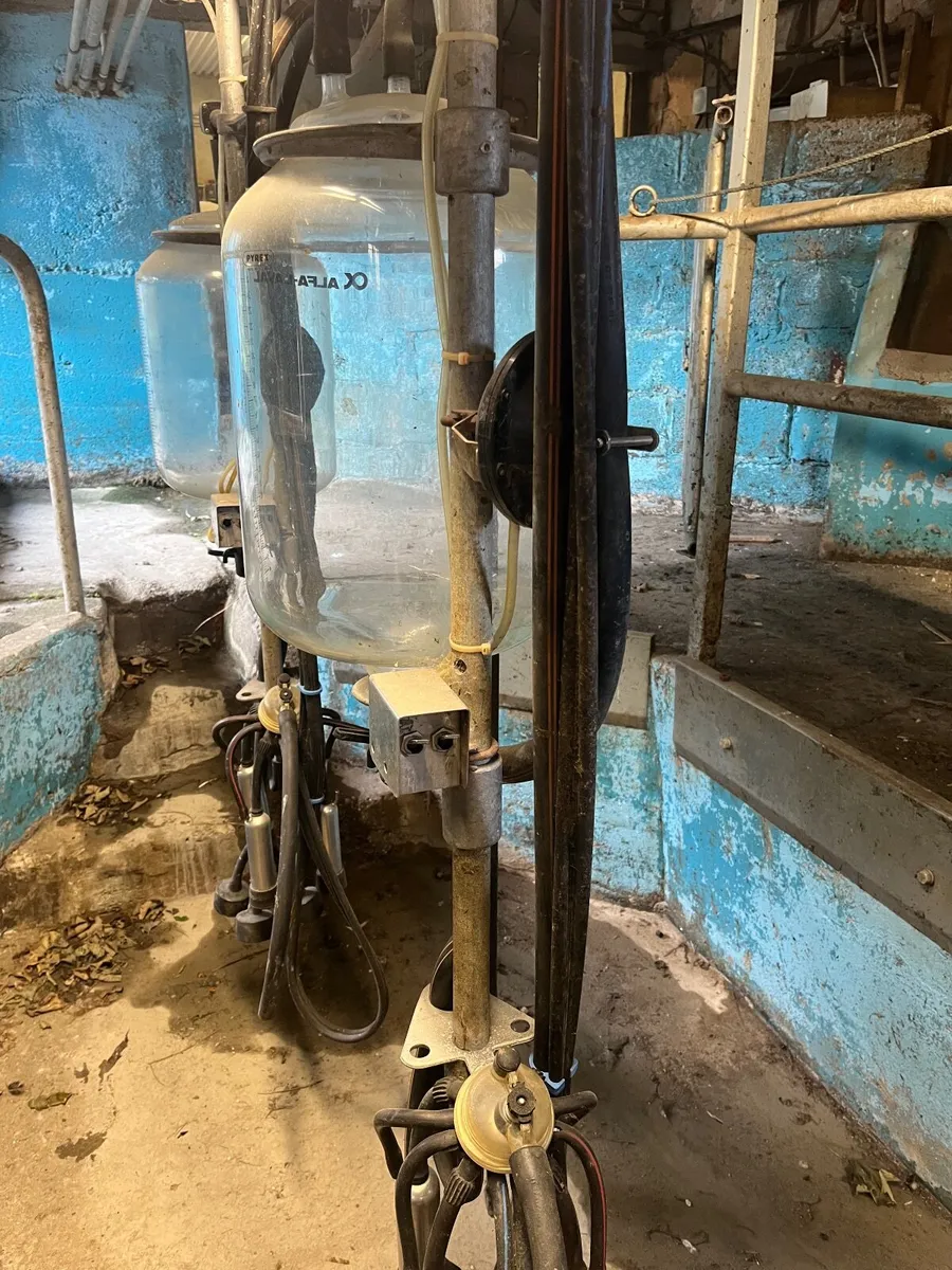 Milking parlour and bulk tank - Image 3