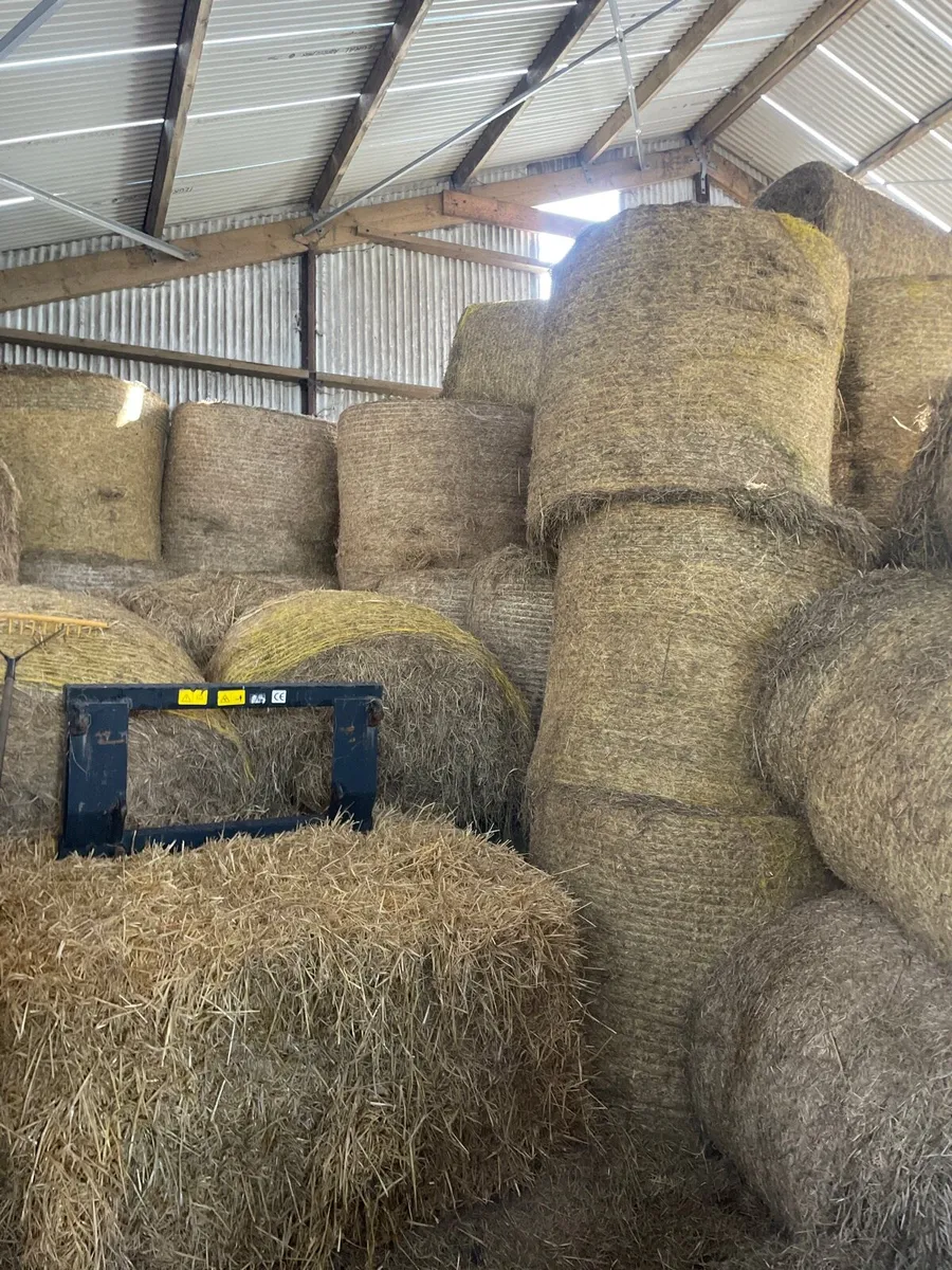 Organic bales of silage and hay