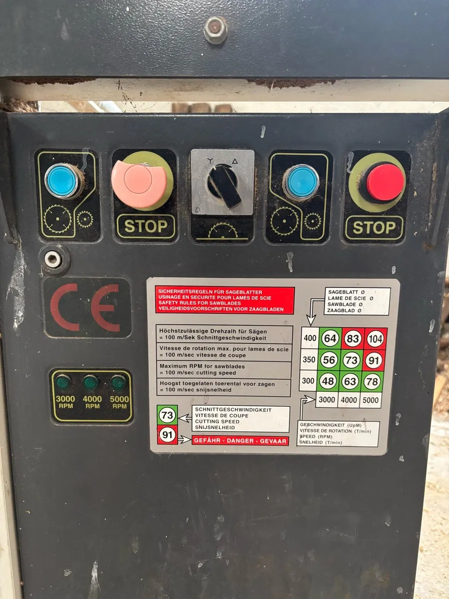 Robland Z320 Panel Saw - Image 2