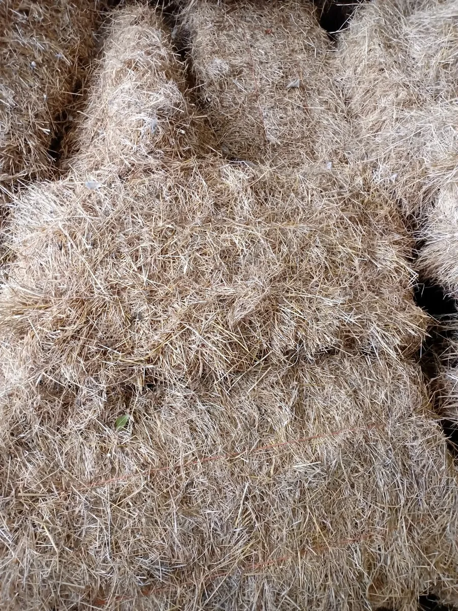 Hay